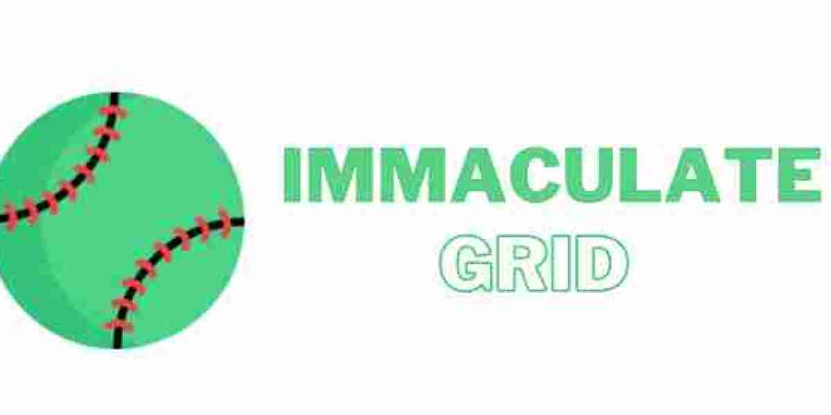 Introduction To Immaculate Grid Game – Fun and Challenging Game