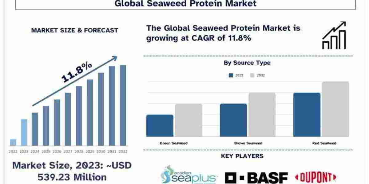 Seaweed Protein Market Analysis by Size, Share, Growth, Trends and Forecast (2024–2032) | UnivDatos