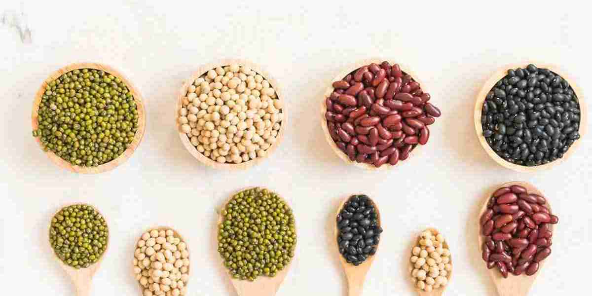 Pulse Ingredients Market Restraints: Understanding the Key Challenges to Growth and Innovation in the Industry