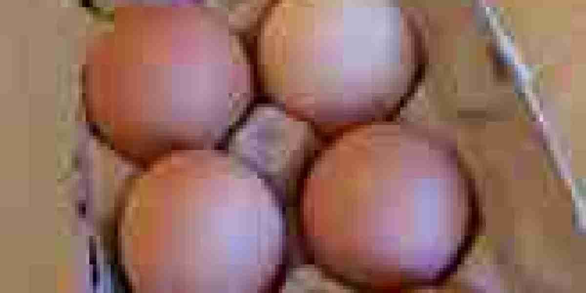 Pasteurized Eggs Market Threats: Innovative Approaches to Mitigate Challenges and Drive Industry Growth