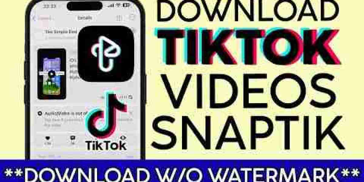 TikTok Video Downloader