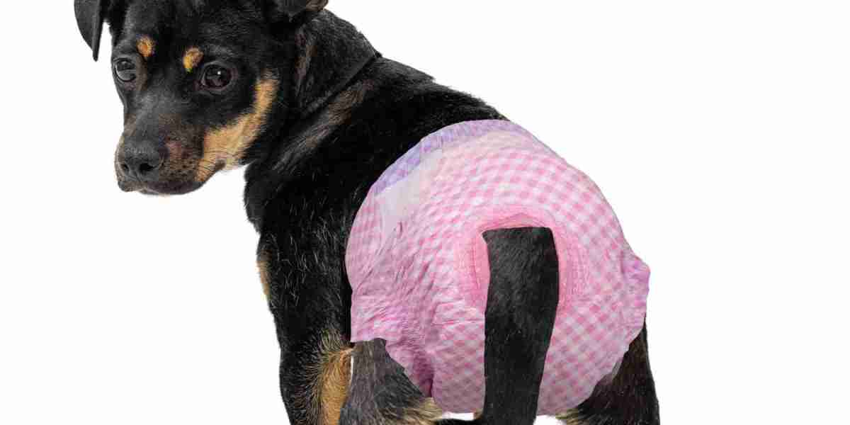 Pet Diaper Market Restraints: Key Factors Slowing Growth in the Pet Hygiene Industry