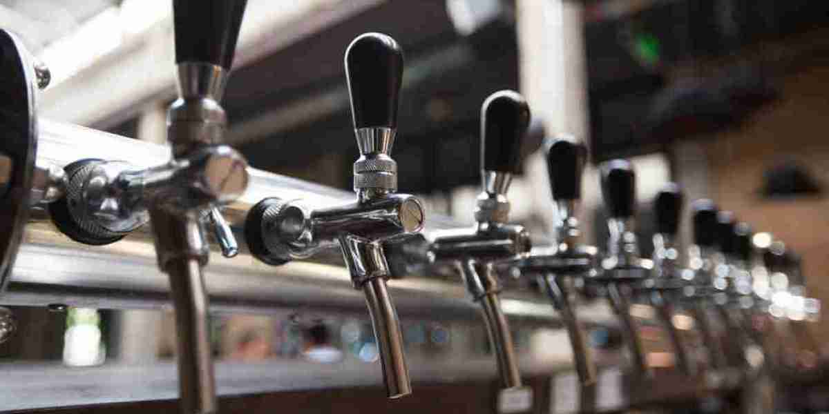 Beer Dispensers Market Future Trends Opportunities and Pain Points Affecting Growth and Competitive Landscape