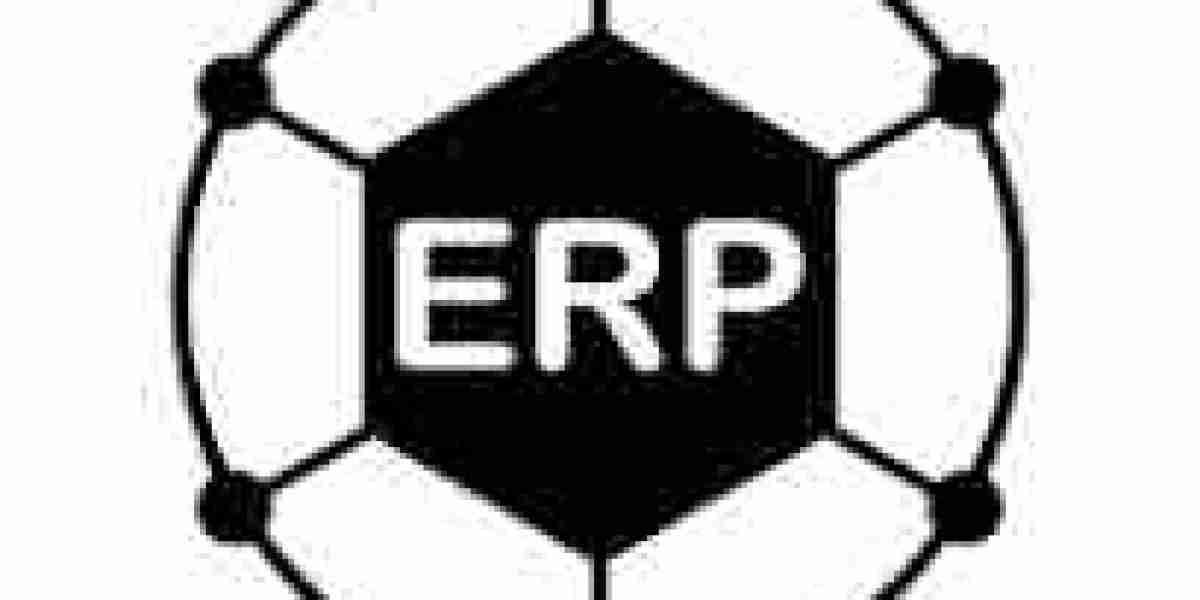 ERP for E-Commerce Businesses