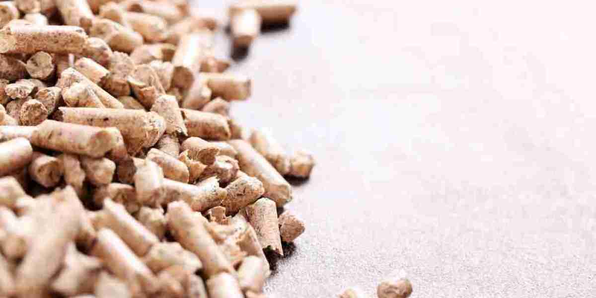 Swine Feed Market Analysis Understanding Consumer Demands and Preferences