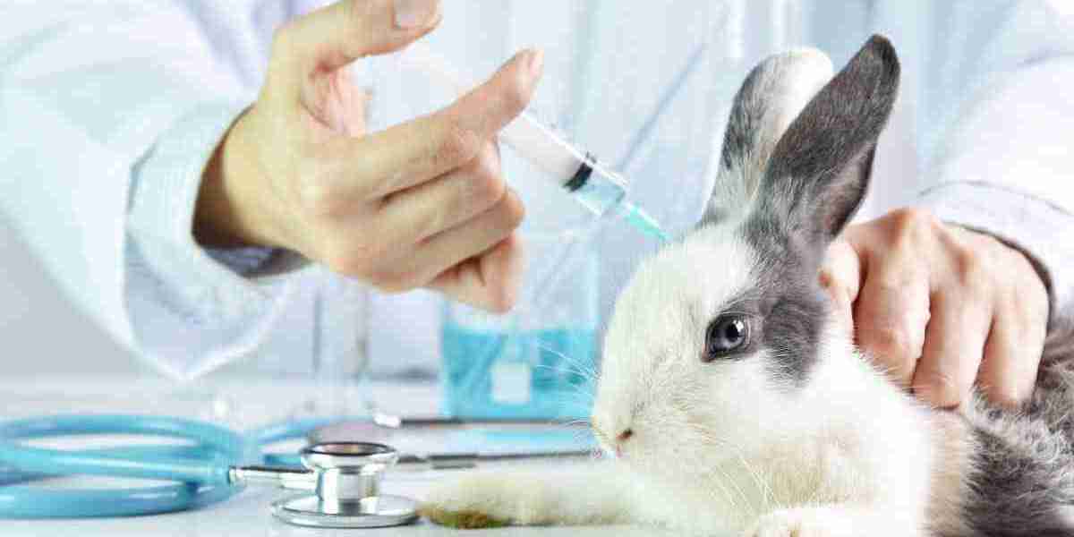 Animal Parasiticides Market Growth Driven by Technological Advancements and Rising Animal Health Awareness