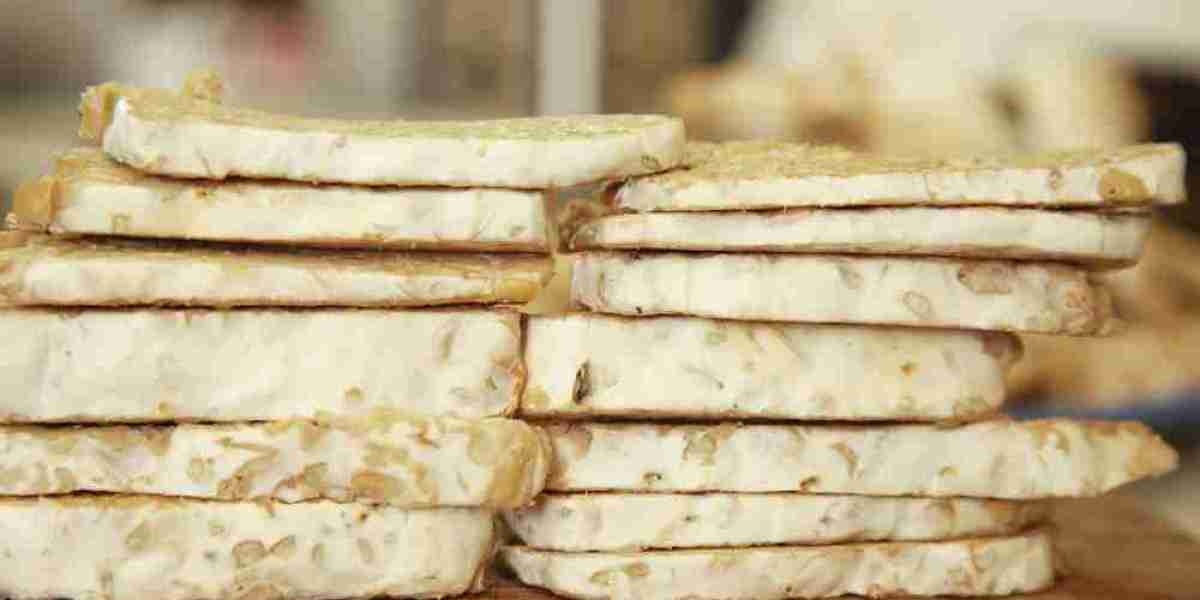 Tempeh Market Opportunities Rising Awareness of Gut Health and Probiotics