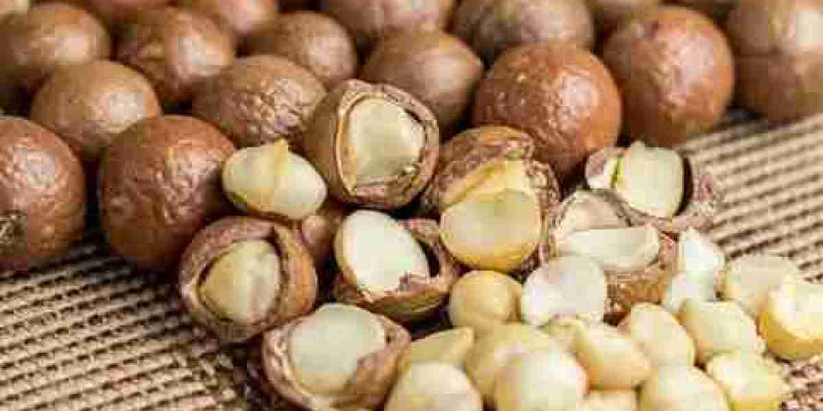 Macadamia Market Threats: Exploring Challenges Impacting Growth in Global and Regional Trade