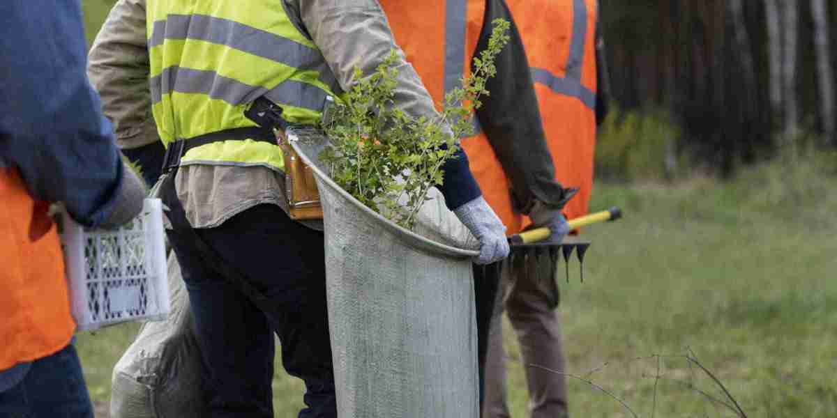 Keep Your Yard Beautiful with Affordable Tree Services in Houston