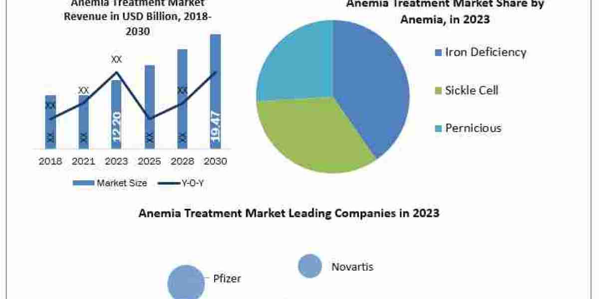 Anemia Treatment Market Strategic Investments and Revenue Potential through 2024-2030