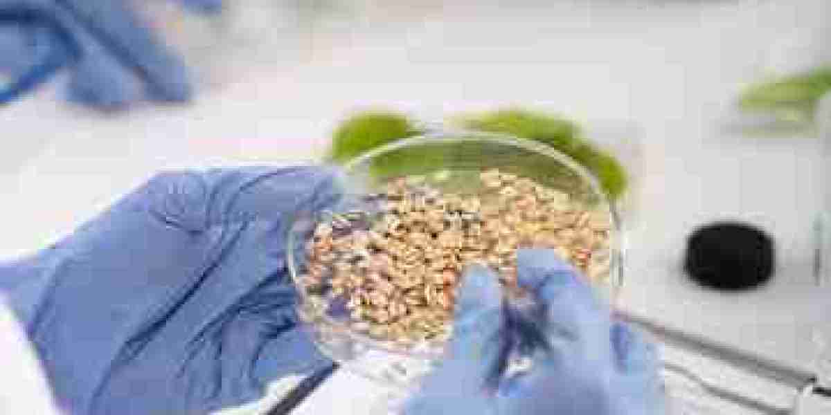 Carbohydrates Testing Services Market: An In-depth Analysis of Growth Factors