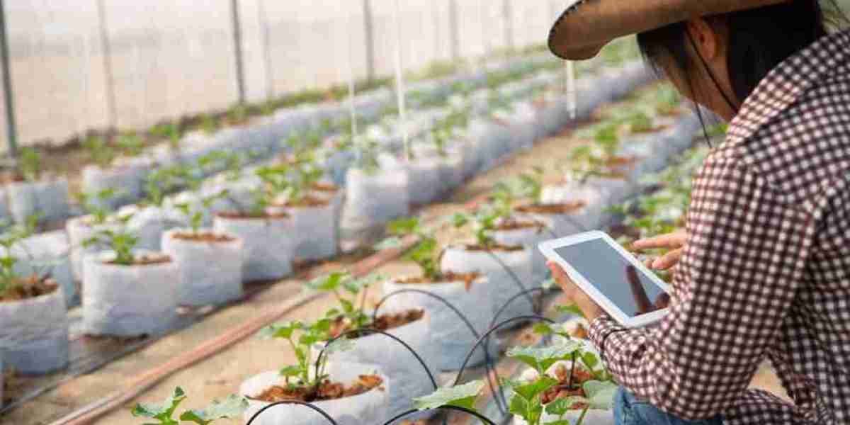 Biostimulants Market Solutions for Sustainable Agriculture