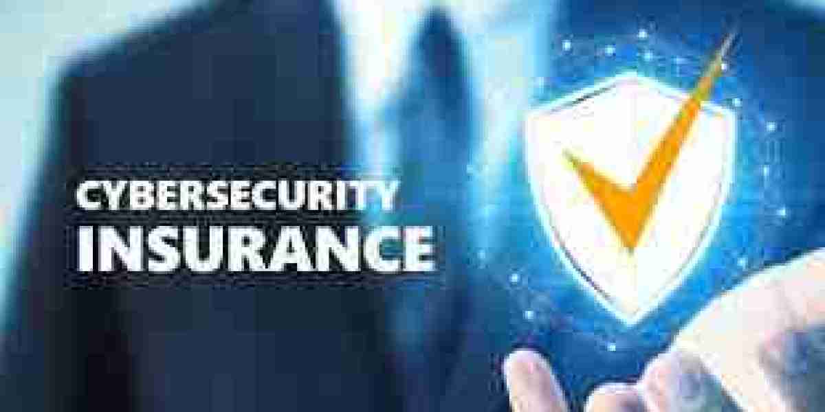 Cyber Insurance Market Growth Opportunities: How Rising Cyber Threats Fuel Demand for Protection Solutions