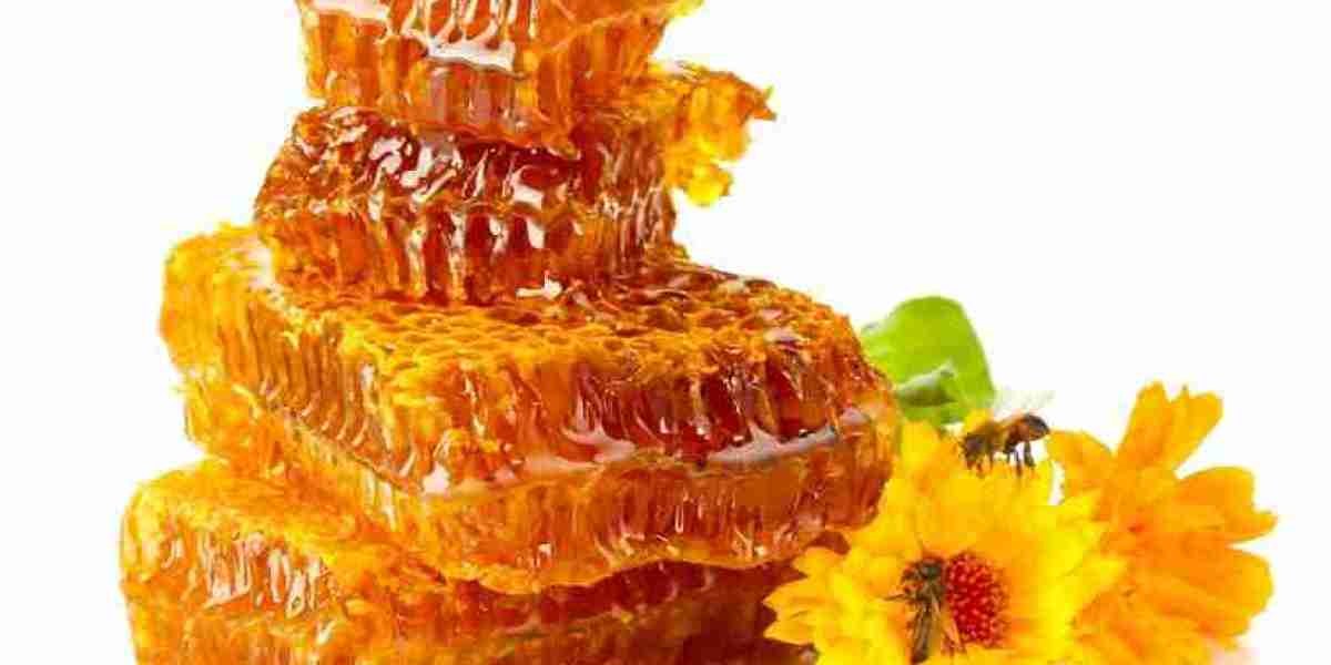 Honey Market Threats: Environmental Challenges, Bee Decline, and Fraud Hindering Industry’s Growth Potential