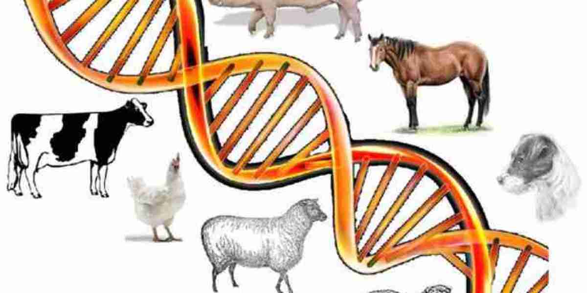 Animal Genetics Market Technological Developments Driving Growth Across Segments And Regions