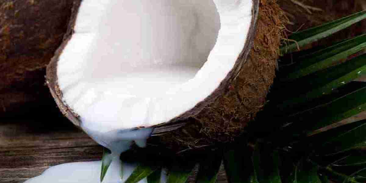 Coconut Milk Market Overview Highlighting Key Trends, Strategic Moves, and Opportunities for Future Market Developments