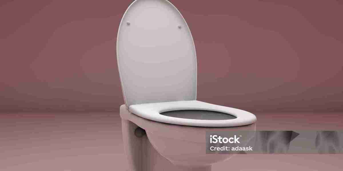 Toilet Seat Market Expansion in Commercial and Public Spaces