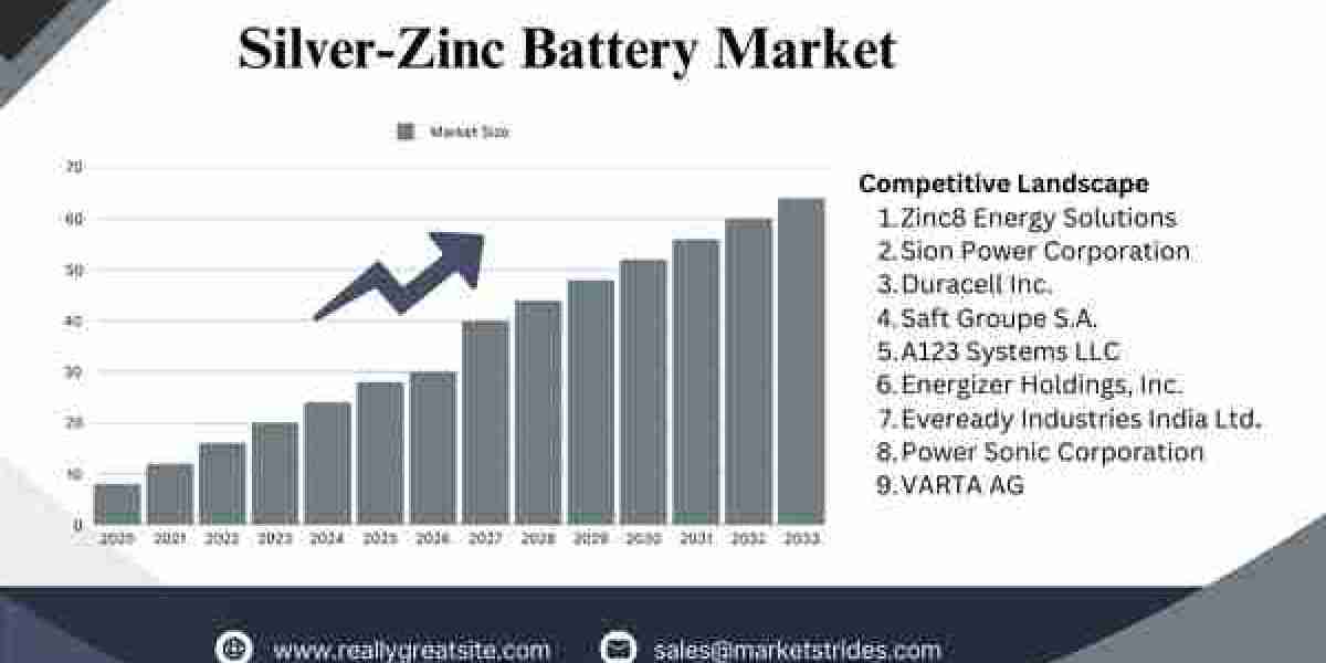 Silver-Zinc Battery Market Report 2025-2033: Trends, Opportunities, and Forecast