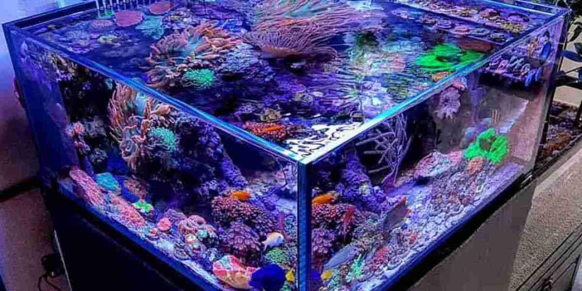 Aquarium Water Treatment Market: How Trust, Innovation, and Engagement Shape Consumer Loyalty Dynamics in 2025