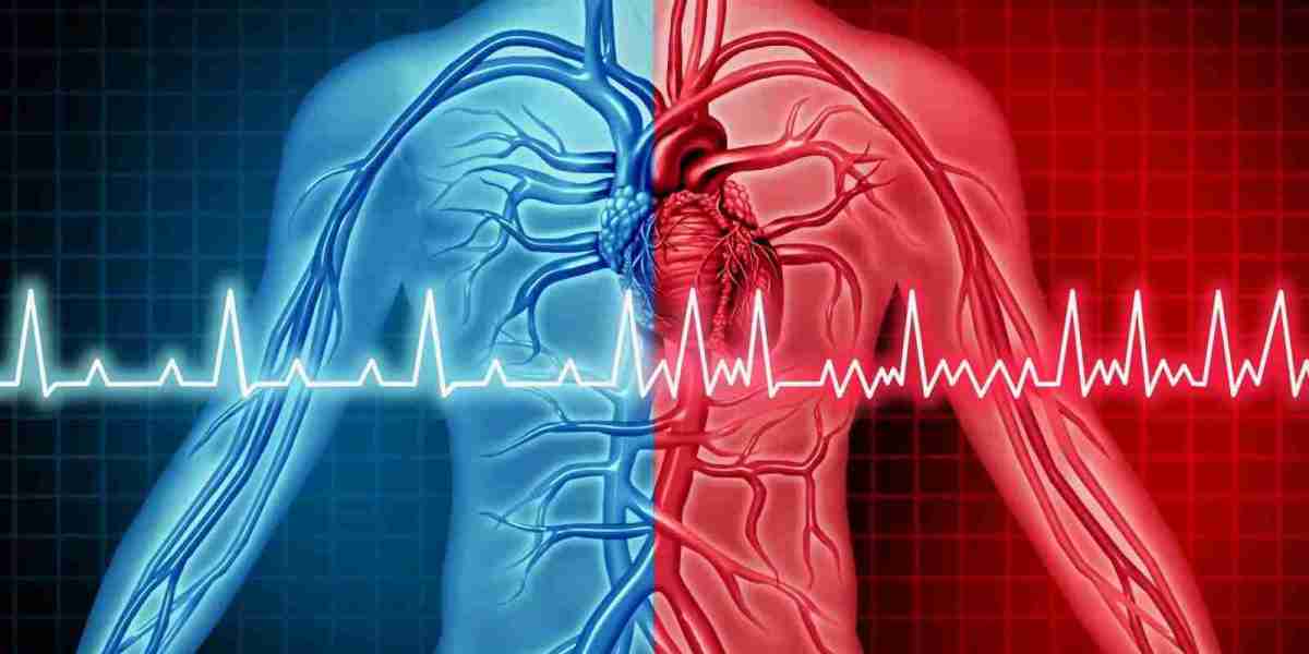 Atrial Fibrillation (Afib) Market: Drivers of Growth in Treatment Options and Patient Care