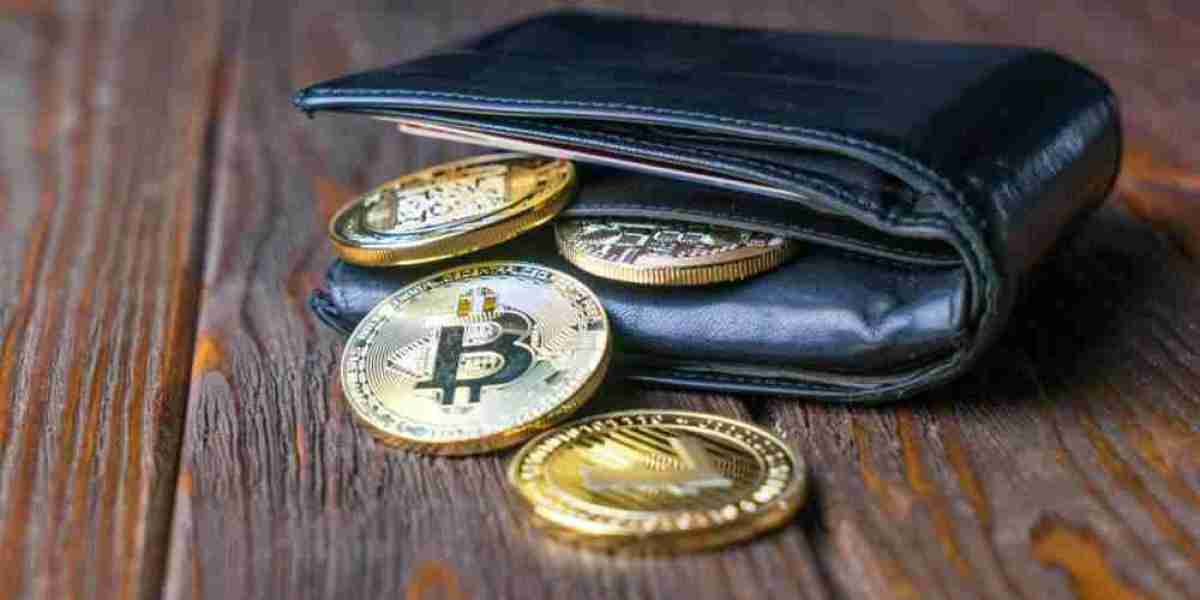 Crypto Wallet Market Restraints Overcoming Fragmentation and Limited User Adoption