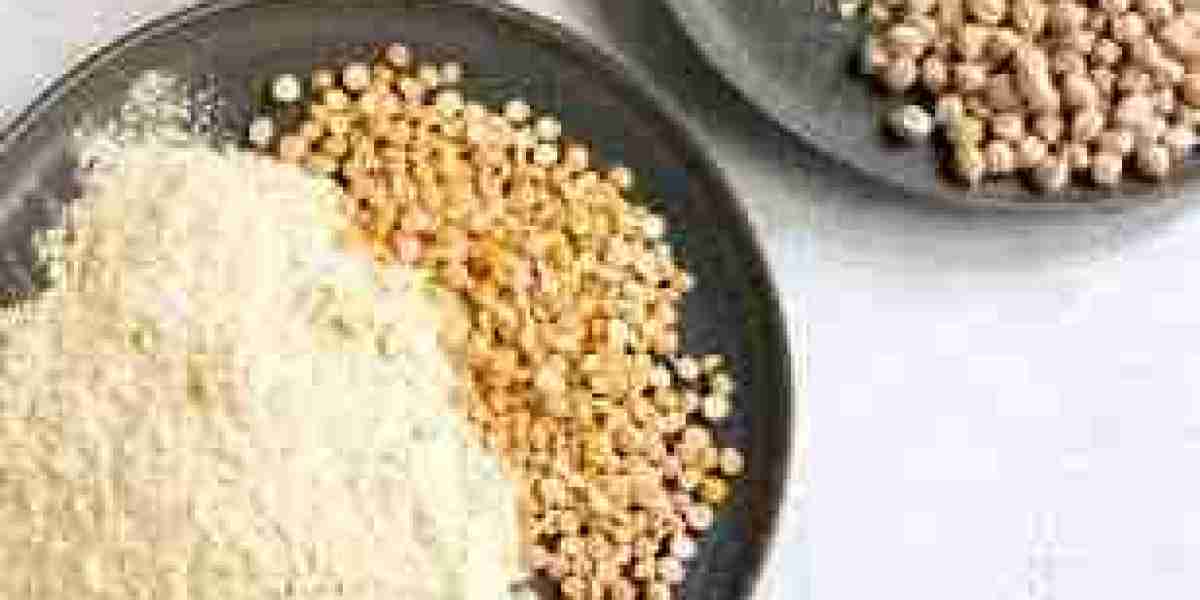 Chickpea Flour Market Strategic Moves: Key Trends, Growth Factors, and Competitive Landscape Analysis