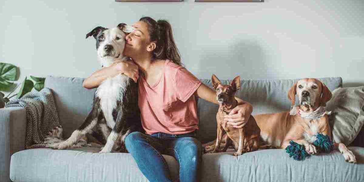 10 Must-Know Tips for First-Time Pet Owners