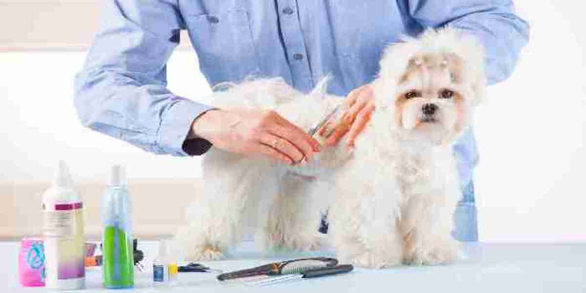 Dog Spa Services in Alpharetta: Pampering Your Pooch with Luxury and Care