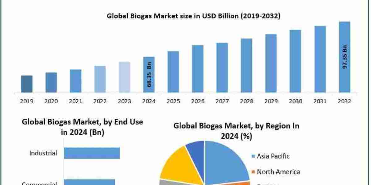 Biogas Market Size, Trends and Forecast, 2025-2032