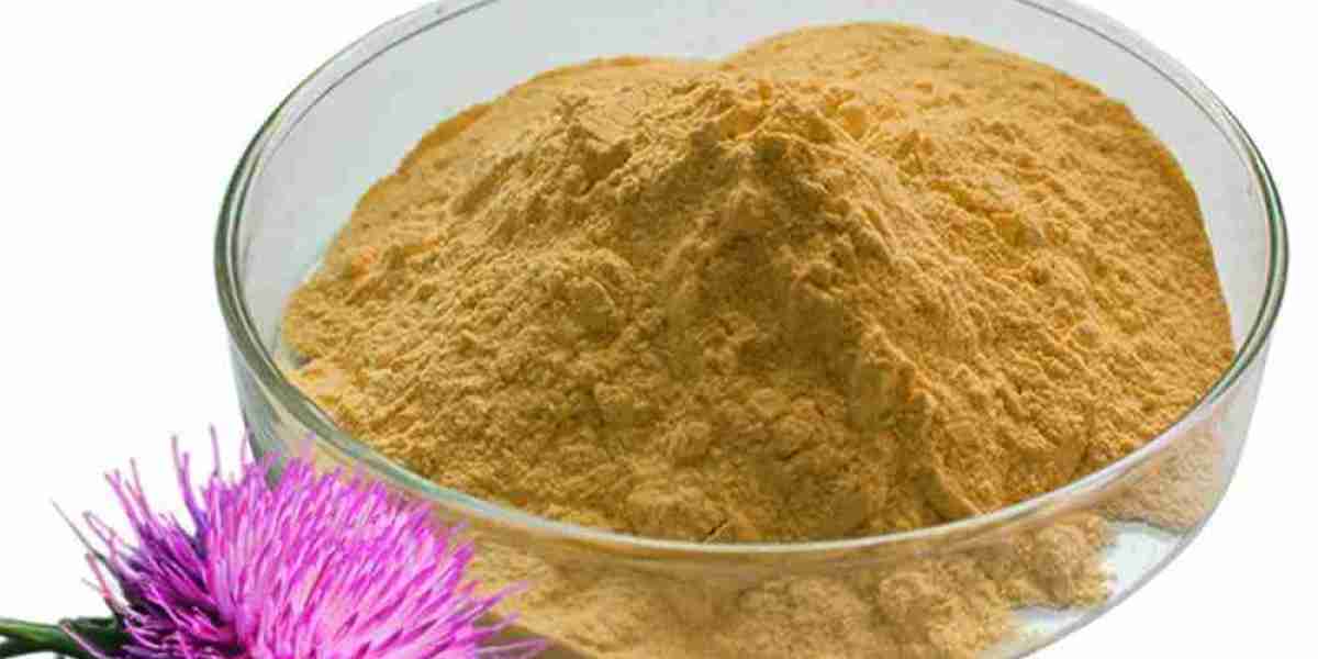 Milk Thistle Supplements Market Outlook for 2025 and Beyond