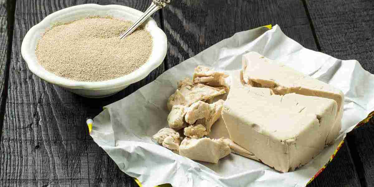 Compressed Yeast Market Outlook for the Food and Beverage Sector