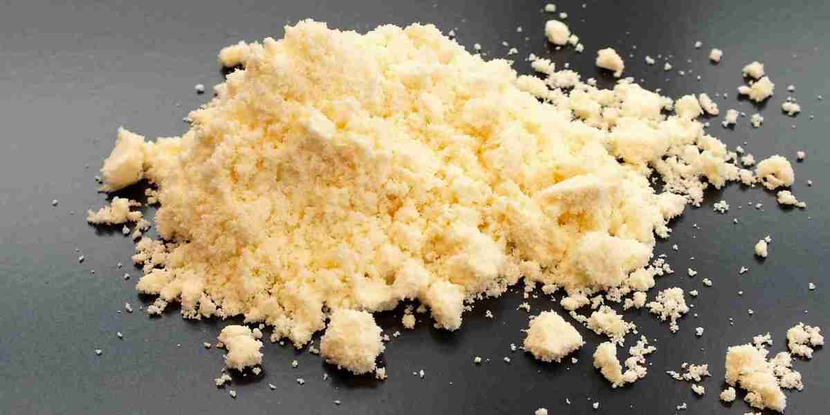 Cheese Powder Market Challenges in an Evolving Landscape