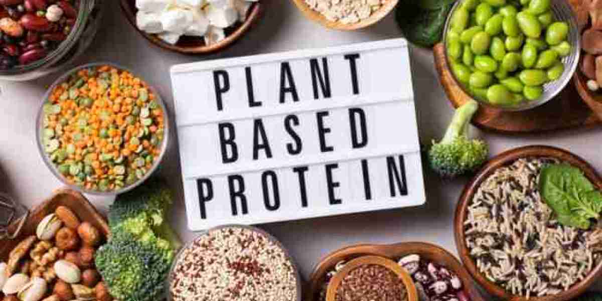 Plant-based Protein Market Restraints: Overcoming Challenges for Sustainable Growth and Consumer Adoption