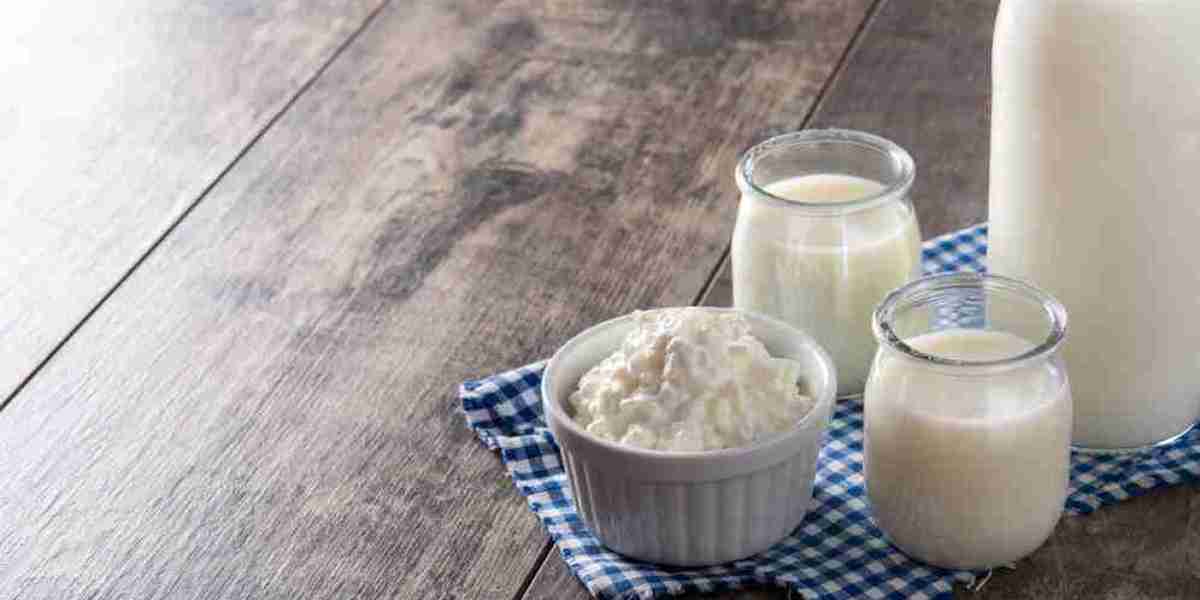 UHT Dairy Products Market Research and Technological Advancements