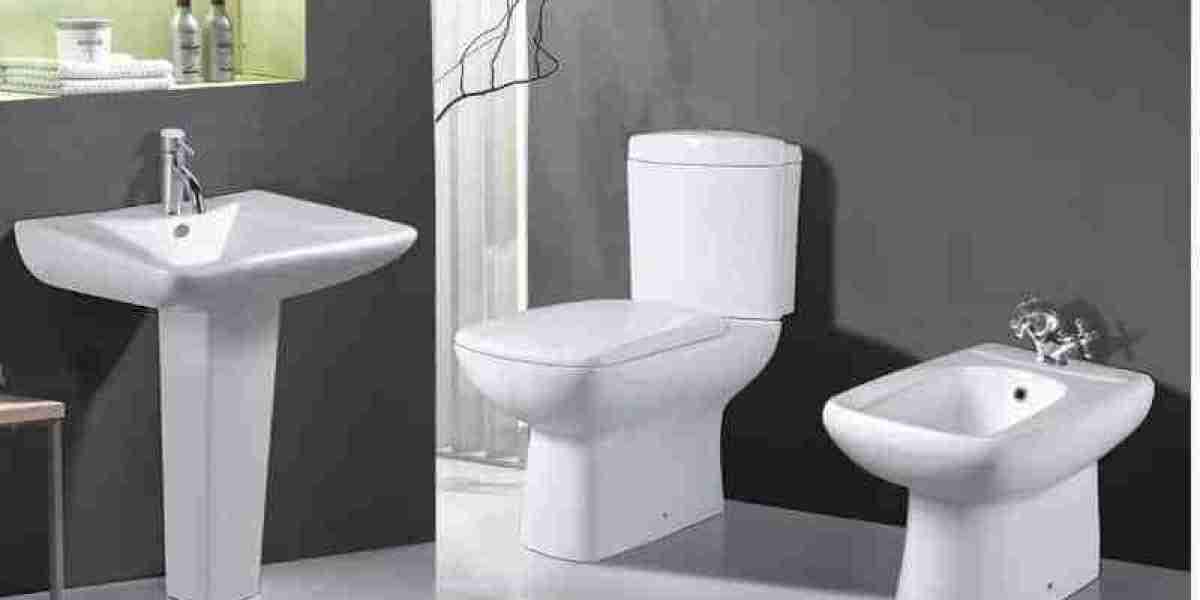 Sanitary Ware Market Consumer Habits and Evolving Preferences in the Modern Bathroom Industry