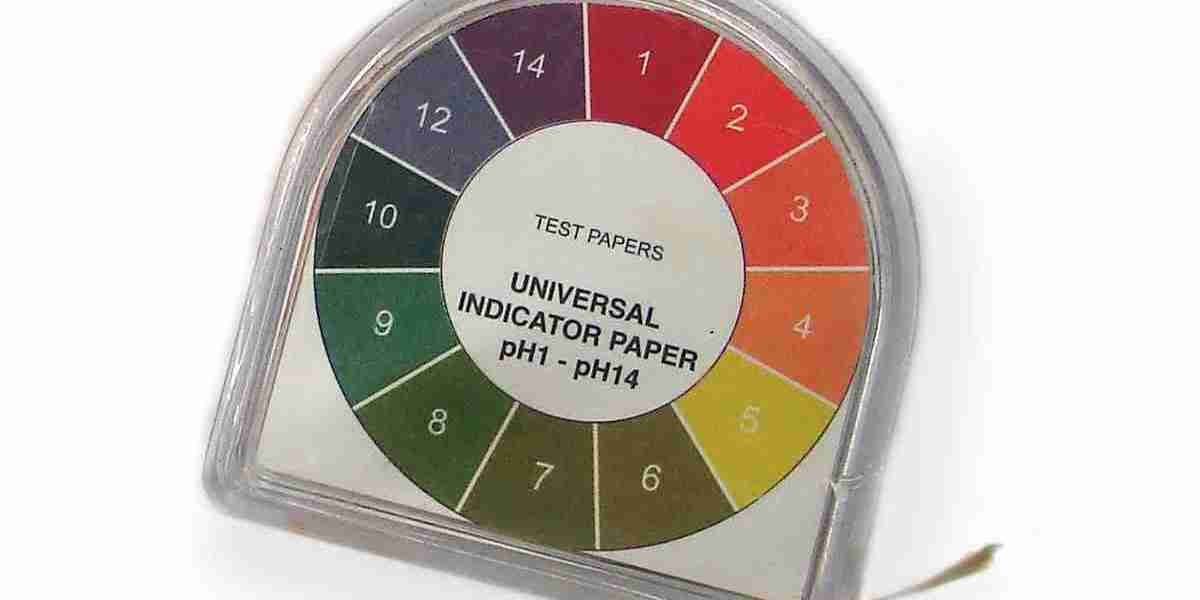 Colorimetric Indicator Label Market Challenges Technological Limitations and Performance Concerns