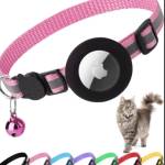 Designer Pet Collars