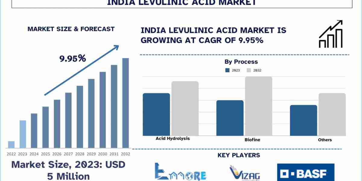 Rising Government Support and Focus On Green Economy to Assist the Market Expansion of Levulinic Acid in India