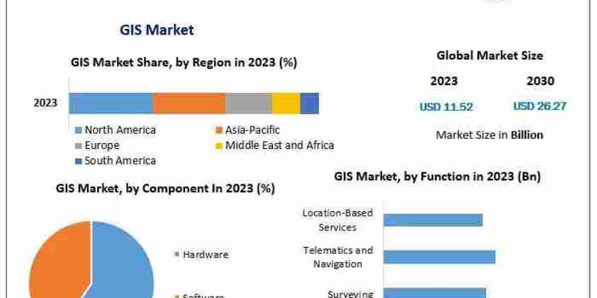 GIS Market Size, Growth Drivers, Trends, and Forecast 2024 to 2030