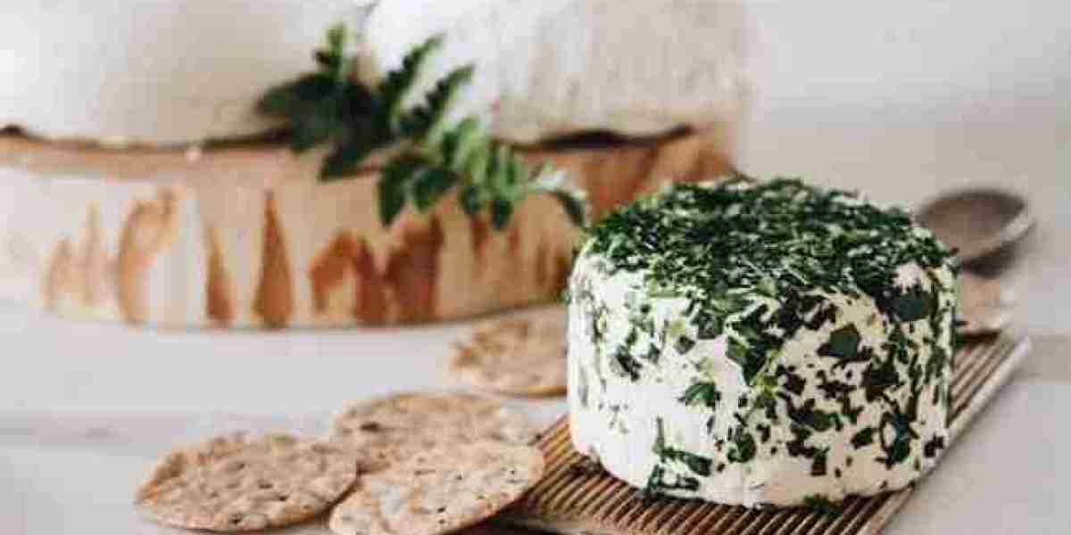 Plant-based Cheese Market: Rising Demand and Innovations Driving Growth in the Dairy Alternatives Industry