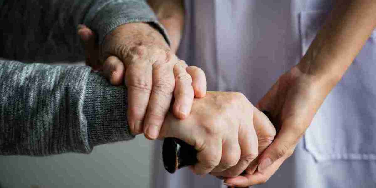 Elderly Care Market Scope: Key Insights and Trends Shaping Future Opportunities and Challenges Worldwide