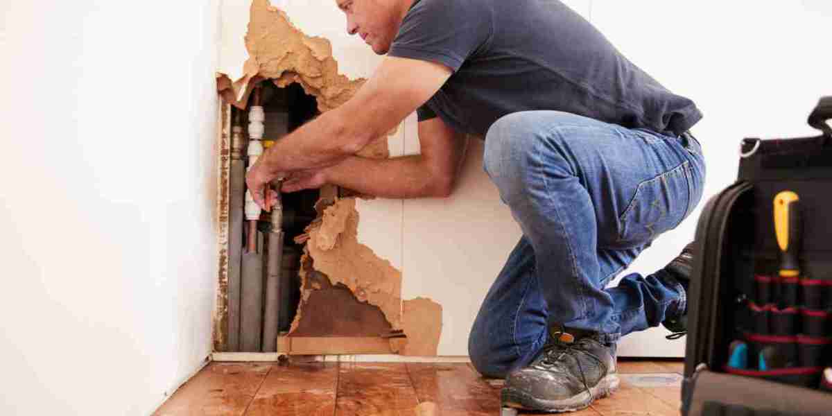 5 Common Spring Plumbing Problems (And How to Fix Them