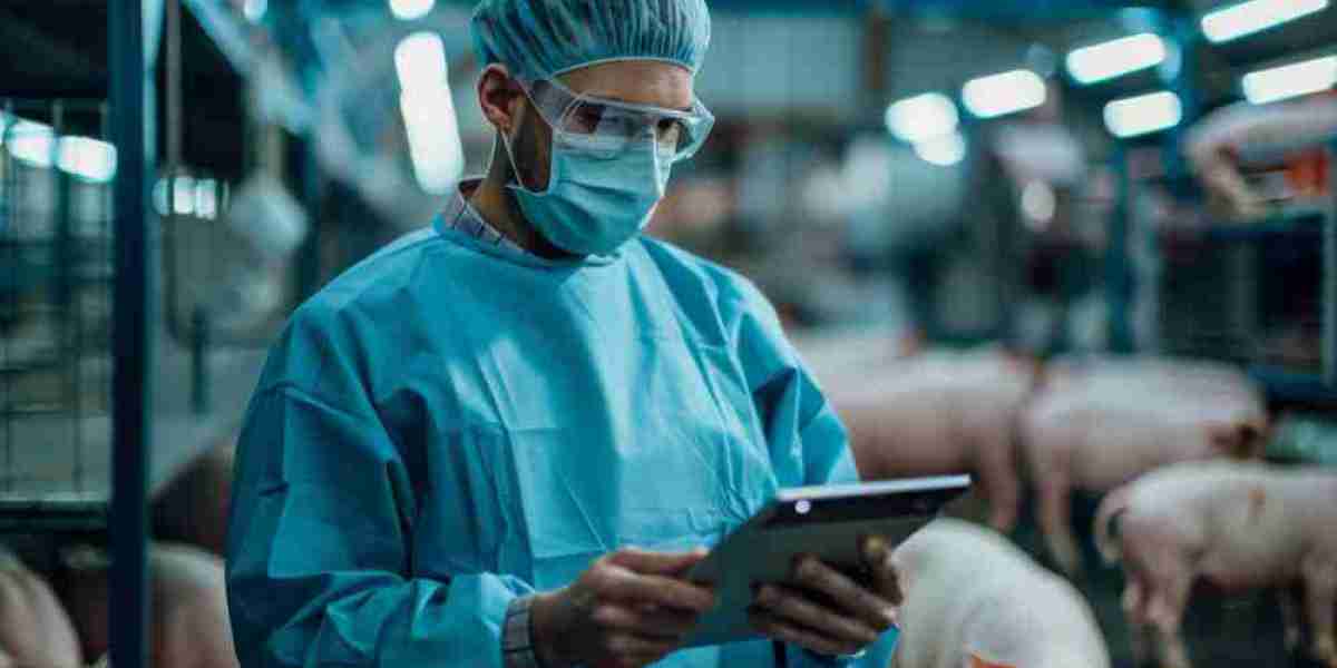 The Role of Healthcare Consulting in Transforming the Industry