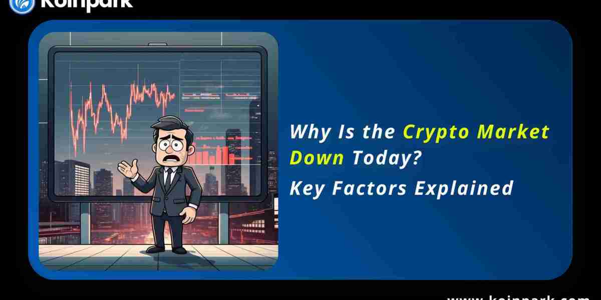 Why Is the Crypto Market Down Today? Key Factors Explained