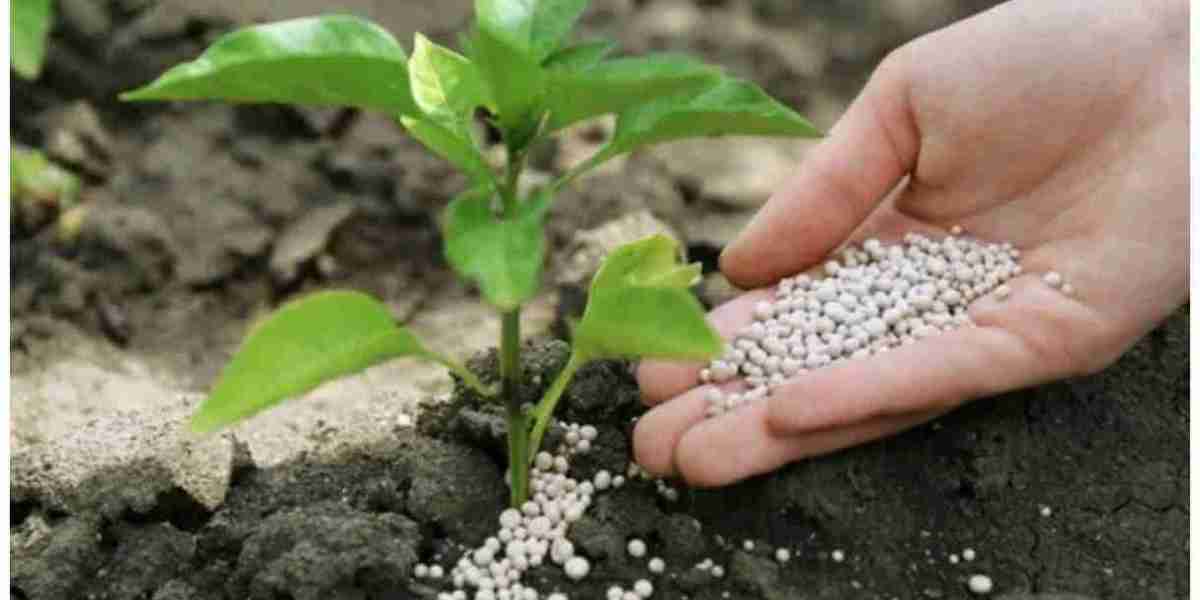 Silicon Fertilizers Market Sales Performance: Growth Trends, Revenue Insights, and Regional Demand Analysis