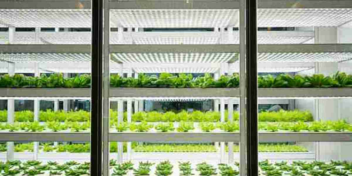 Commercial Greenhouse Industry Growth: Market Valuation & Expansion Forecast (2025-2032)