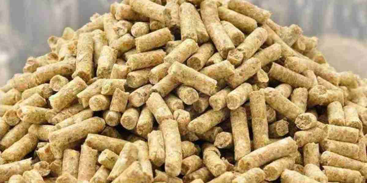 Animal Feed Probiotics Market Scope and Growth Drivers: Key Trends and Insights in 2025