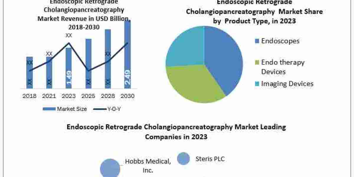 Endoscopic Retrograde Cholangiopancreatography Market Size Competitive Landscape 2030