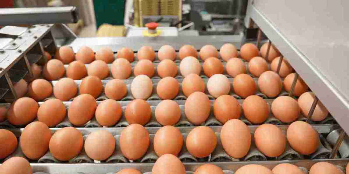 Egg Wash Alternative Market Developments