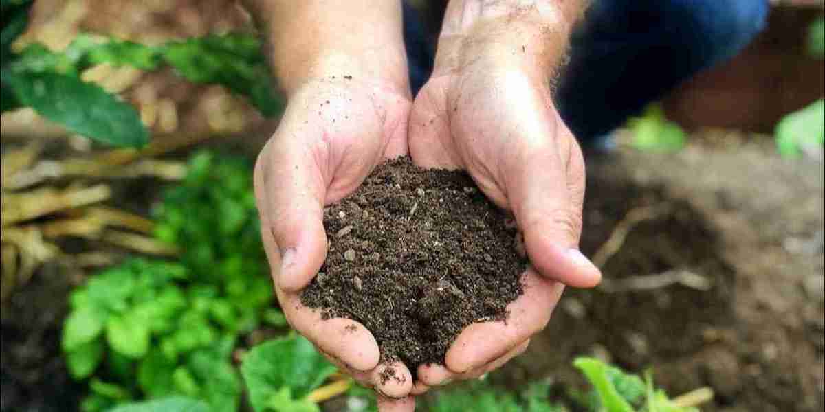 The Ultimate Guide to Multi Purpose Compost